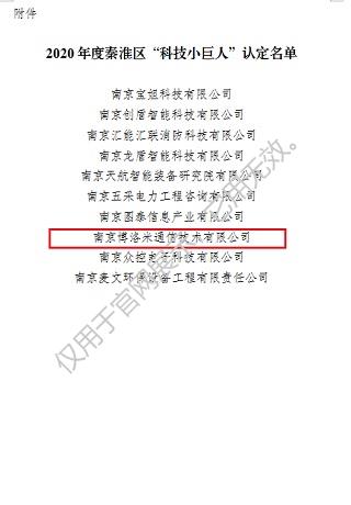 科技小巨人