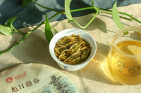 润元昌旭日迎春口感怎么样 润元昌旭日迎春口感怎么样
