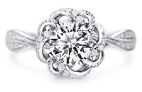 导航图片-200-120-1