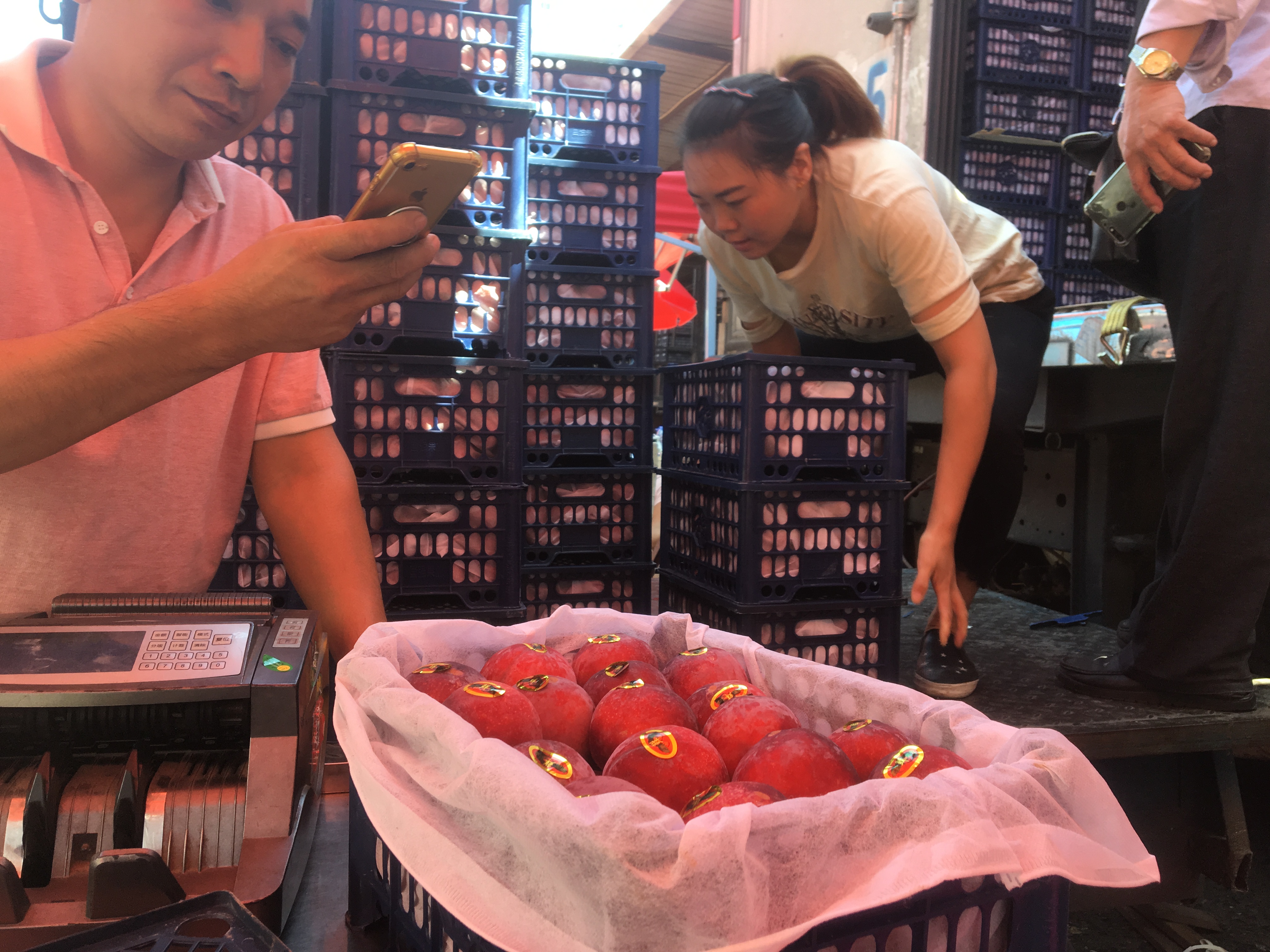 东莞李子批发
