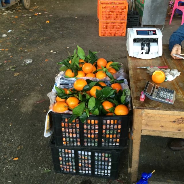 代销脐橙
