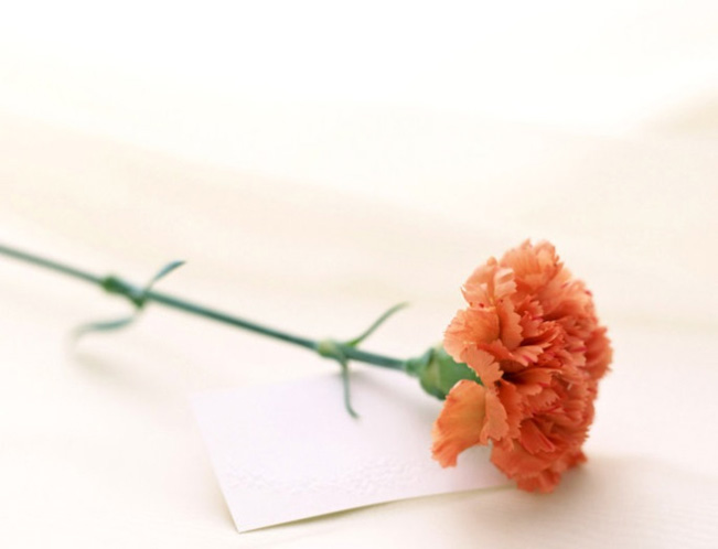 节日福利