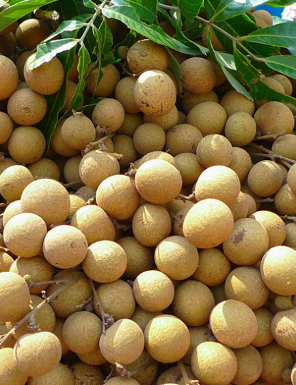 龙眼空运,龙眼航空货运