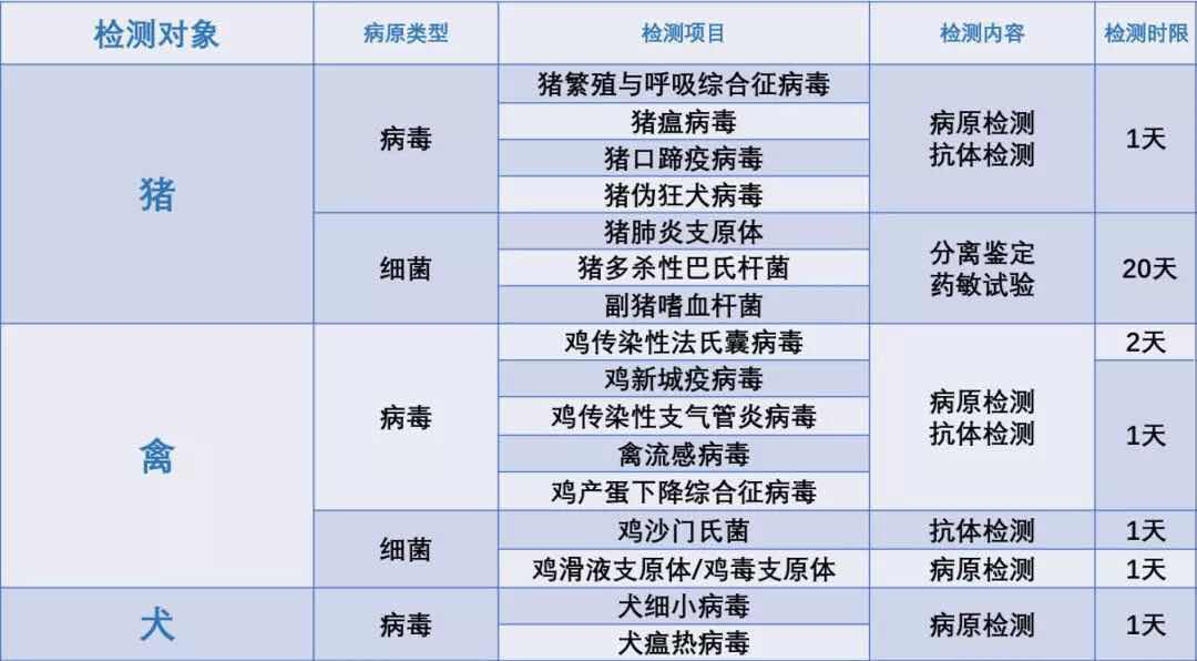 检测项目2