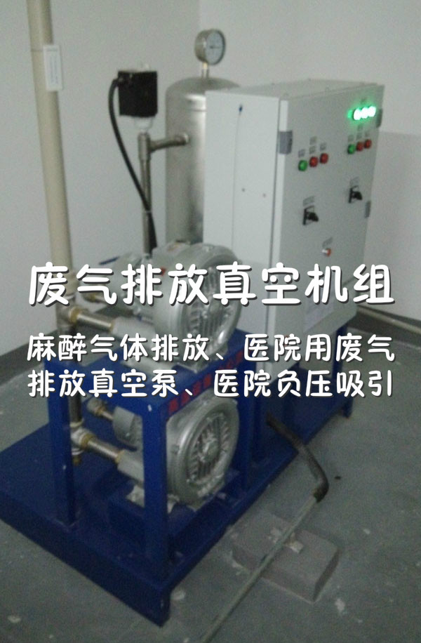 废气排放真空机组