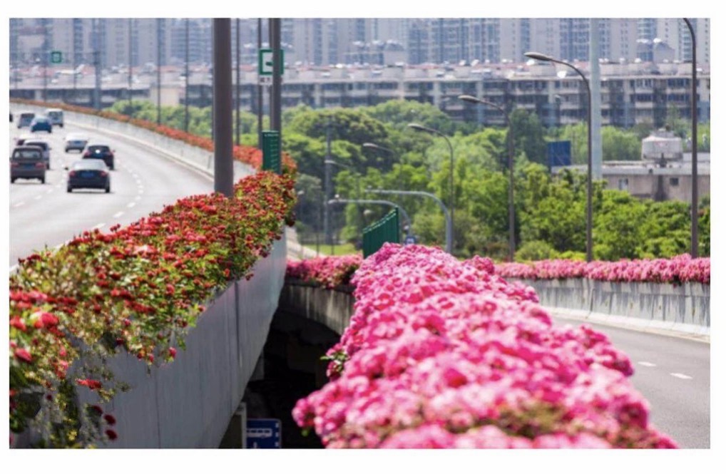 14机场快速路高架桥桥面绿化美化综合整治工程-封面