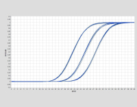 TonkBioTMRTReagentKit-forqPCR