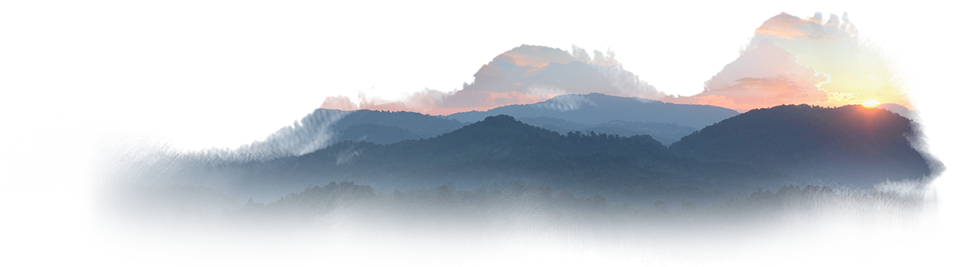 315eb230-bcab-4f3f-a1f3-452429bd0857