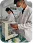 图片11