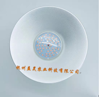 華光二號-帶公司名稱