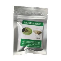 灰茶尺蠖
