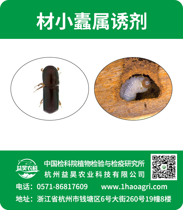 材小蠹屬性誘劑標(biāo)貼