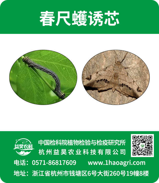 春尺蠖誘芯標(biāo)貼