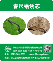 春尺蠖誘芯標(biāo)貼