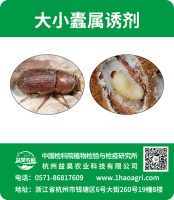 大小蠹屬誘劑標(biāo)貼