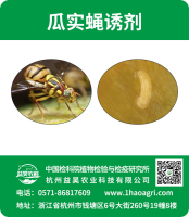 瓜實(shí)蠅誘劑標(biāo)貼