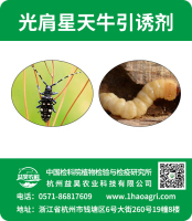 光肩星天牛引誘劑標貼