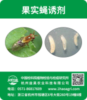 果實(shí)蠅誘劑標(biāo)貼