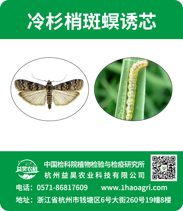 冷杉梢斑螟誘芯標(biāo)貼