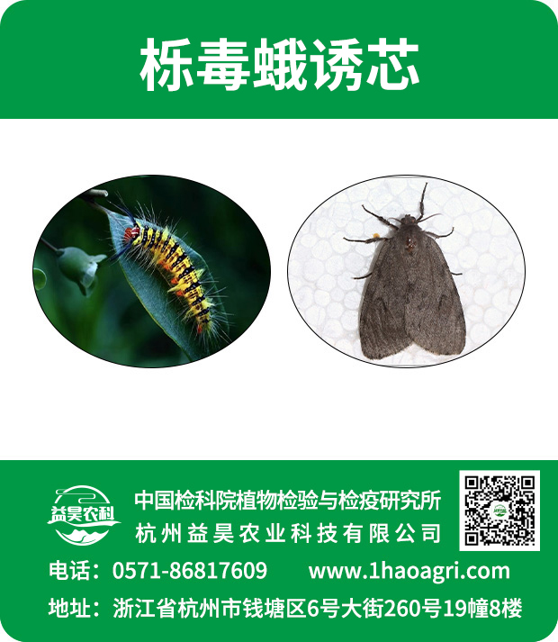 櫟毒蛾誘芯標貼