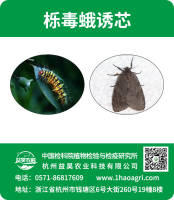 櫟毒蛾誘芯標貼