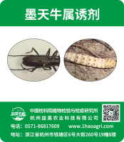 墨天牛屬誘劑標(biāo)貼