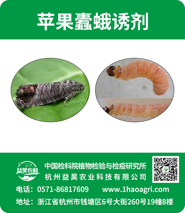 蘋果蠹蛾誘劑標(biāo)貼