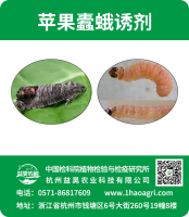 蘋果蠹蛾誘劑標(biāo)貼