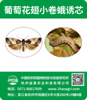 葡萄花翅小卷蛾誘芯標(biāo)貼