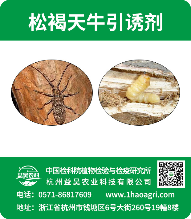 松褐天牛引誘劑標(biāo)貼