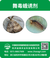 舞毒蛾誘劑標(biāo)貼