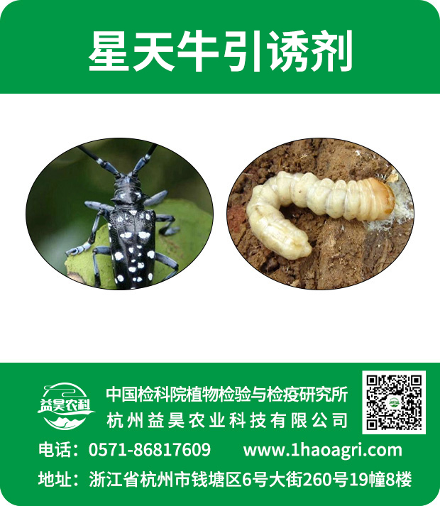 星天牛引誘劑標(biāo)貼