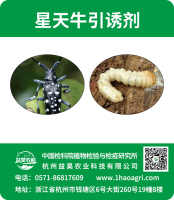 星天牛引誘劑標(biāo)貼