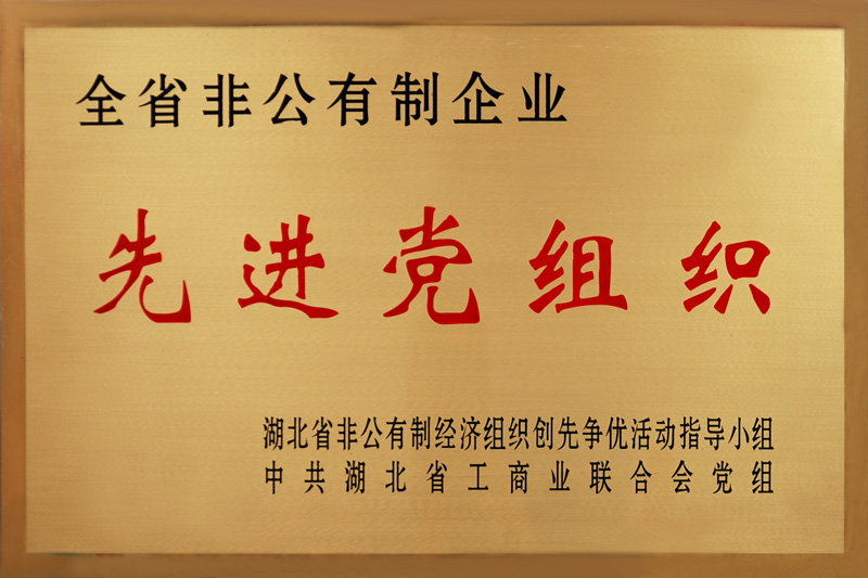 全省非公有制企业先进党组织