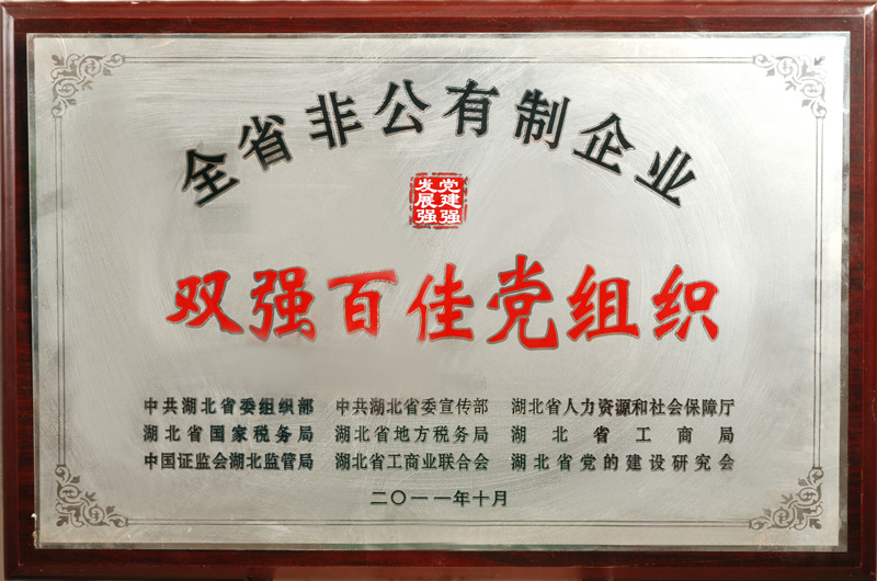 双强百佳党组织