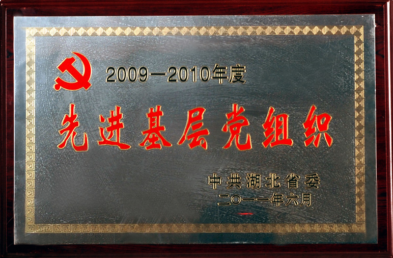 先进基层党组织