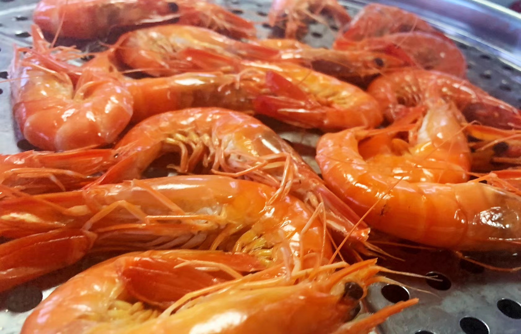 b9d9f5e94e2509011af87022a0873da