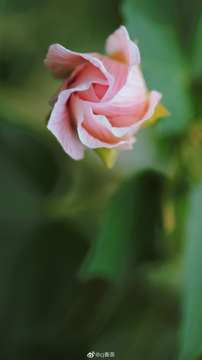 92f6278152f971de299a1d46ee0cfeec.png