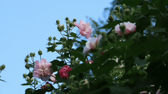 db0635da20cec901509a430fc4ead3d2.jpg