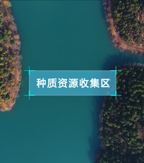 以打造林業高新技術企業為目標，將科技轉化為生產力，走出一條長樂特色的科技興林的種苗產業化發展之路，打造“苗工一體”產業鏈和苗木供應鏈銷售平臺，成為“兩山”轉化的主力示范基地。
