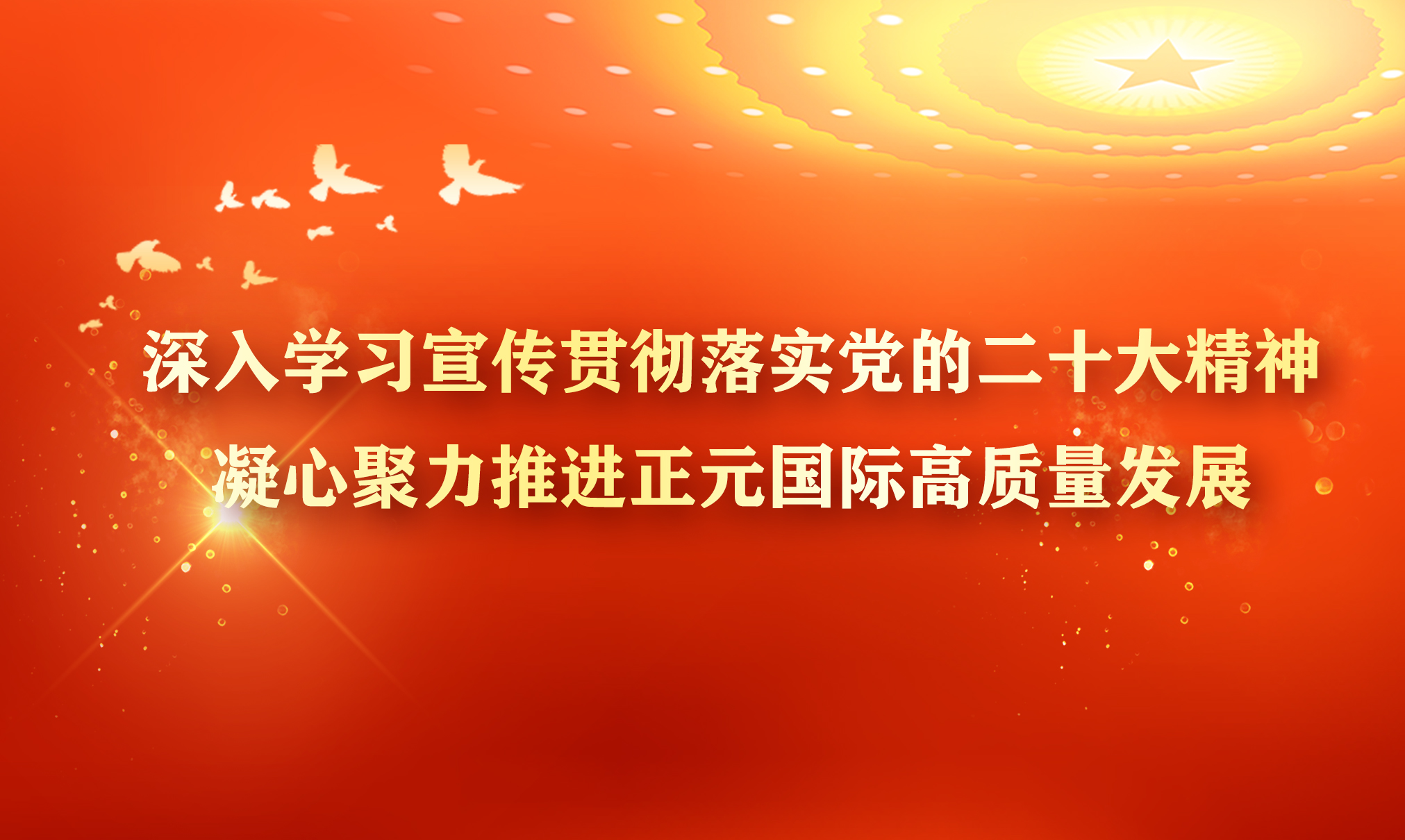 深入学习贯彻落实党的二十大精神