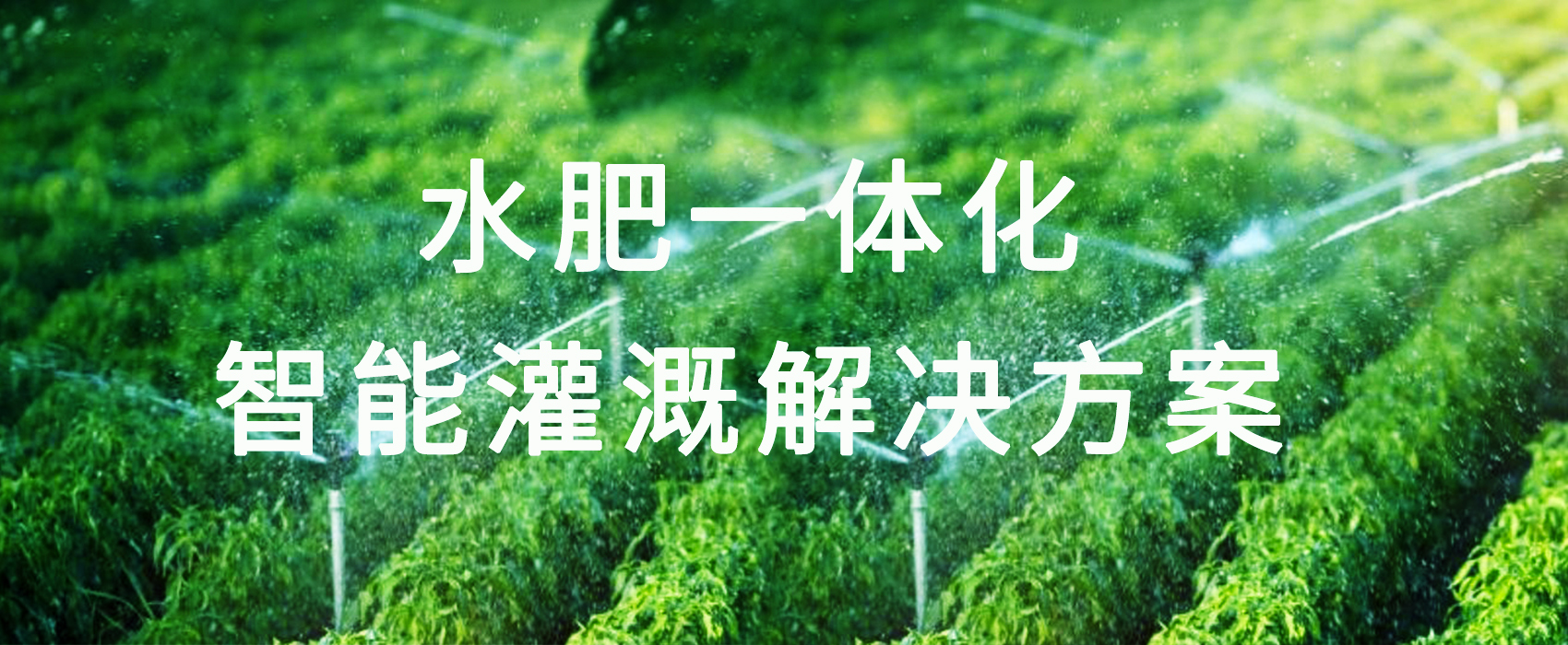 未标题灌溉改-1