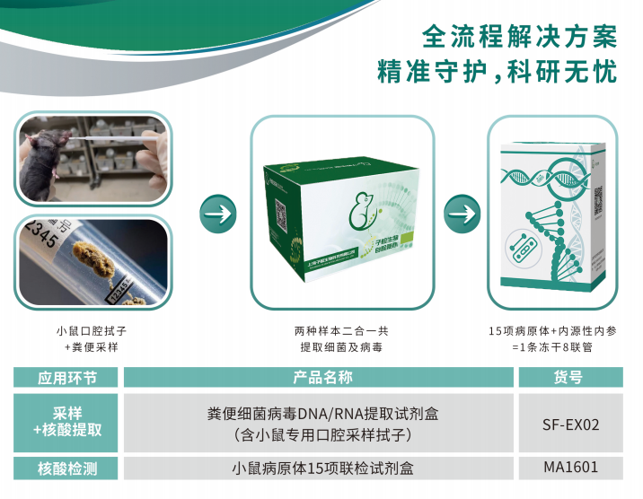 SPF小鼠多联检检测系列