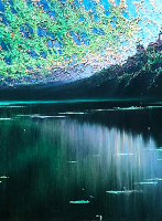 294像素天鹅绒池塘