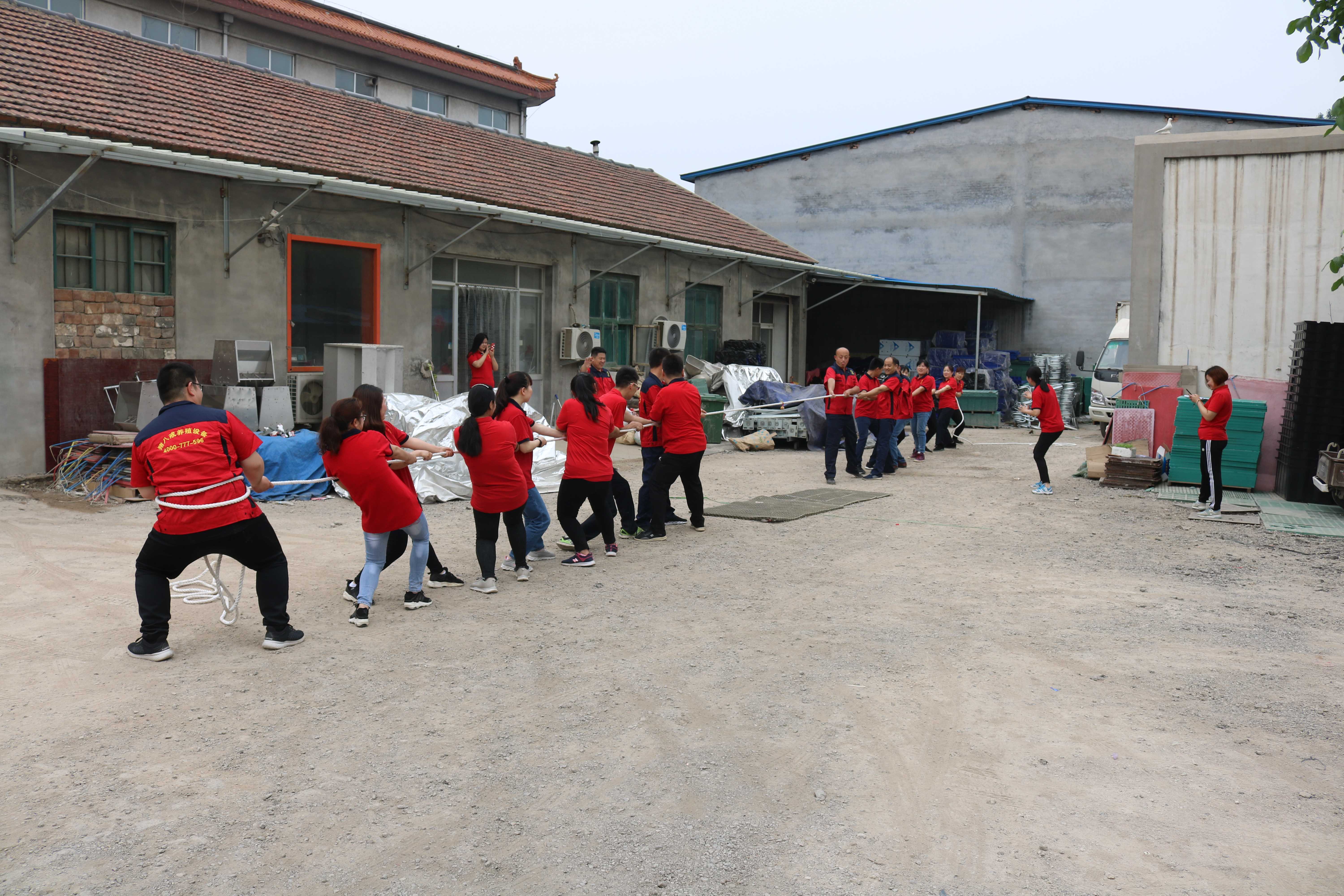 山东猪八戒畜牧机械全体员工进行拔河比赛