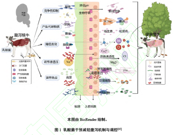 D:\我的文档\WeChat Files\wxid_ok9g18cedjoa21\FileStorage\Temp\1753574487547.png