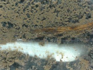 sq2_T002_L002_20210807_120721_001_sqh