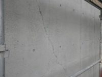 R0011545-300x225