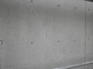R0011549-300x225
