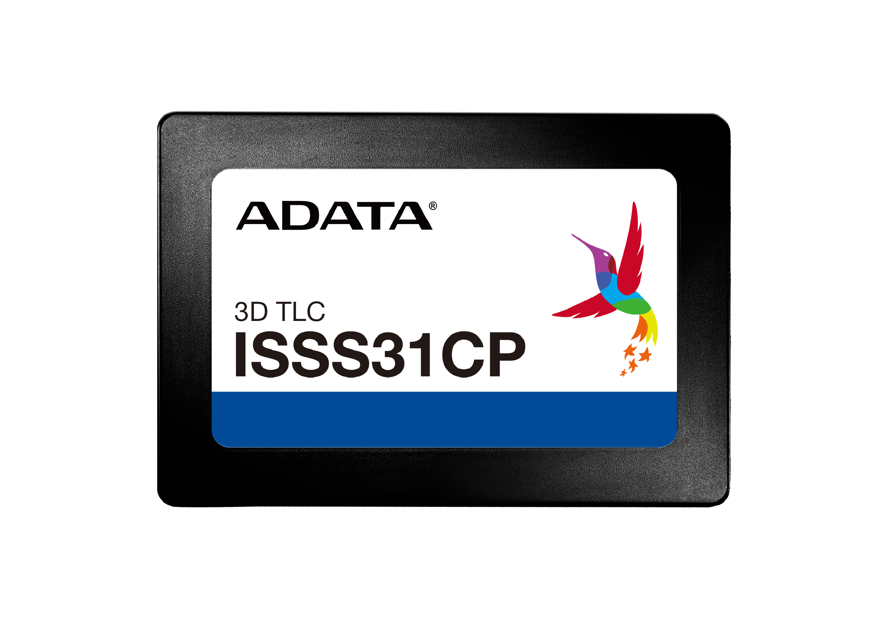 ISSS31CP_画板1 ISSS31CP_画板1